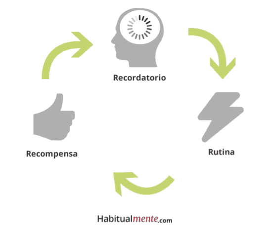ciclo recompensa cambio de habitos monitor nutricional